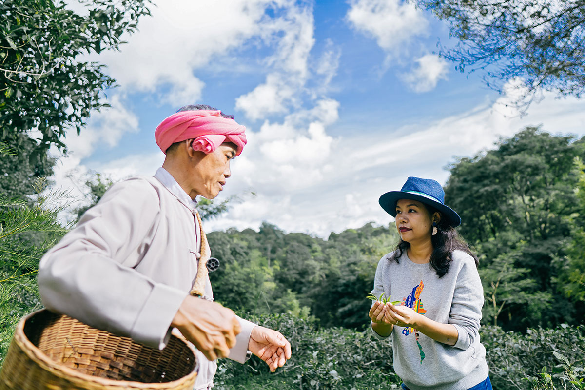 L’ entrepreneure Thiri Aung avec U Ba Si, cultivatrice et productrice de thé dans la ferme à thé du village de Misty Valley situé à Pindaya, une montagne de l’état de Shan au Myanmar. 