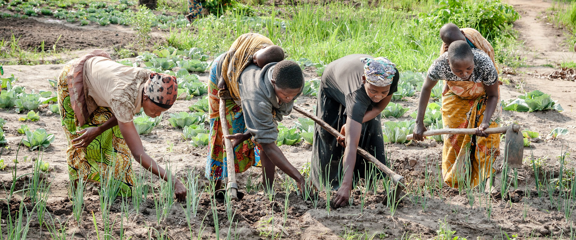 Des femmes dans la province du Sud-Kivu en République démocratique du Congo se regroupent de bon matin pour prendre soin des cultures sur pied qu’elles cultivent de manière collective. Un grand nombre d’entre elles travaillent tout en prenant soin de leurs enfants.