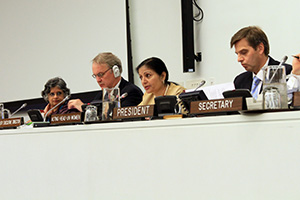 Ms. Puri delivers her opening statement to the 2013 Annual session of the Executive Board on 25 June, 2013. Photo credit: UN Women