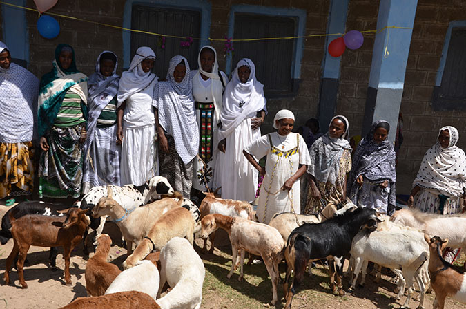 Group members were able to buy goats and sheep with the income-generating 3,000 Birr loan that they each received. Photo: UN Women/Fikerte Abebe