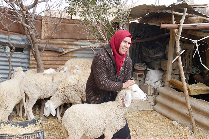 Fatiha Routane takes pride in looking after the eight goats she raised, thanks to the support of El Ghaith. Photo courtesy of El Ghaith Association