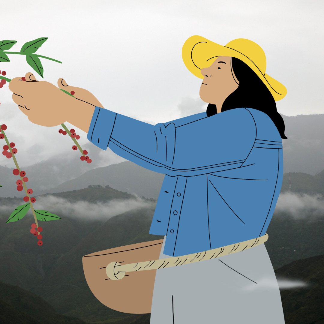 Illustration of women's leadership in agriculture