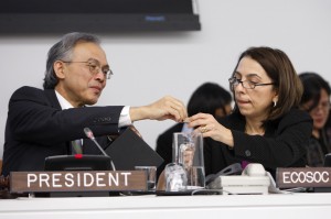Las Naciones Unidas Elige a la Junta Ejecutiva del Nuevo Organismo para el Empoderamiento de la Mujer