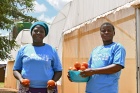 Ruth Kampatura (left) and Prose Mgundamavu are seen harvesting tomatoes in the Kumbuku greenhouses in Lilongwe, Malawi.