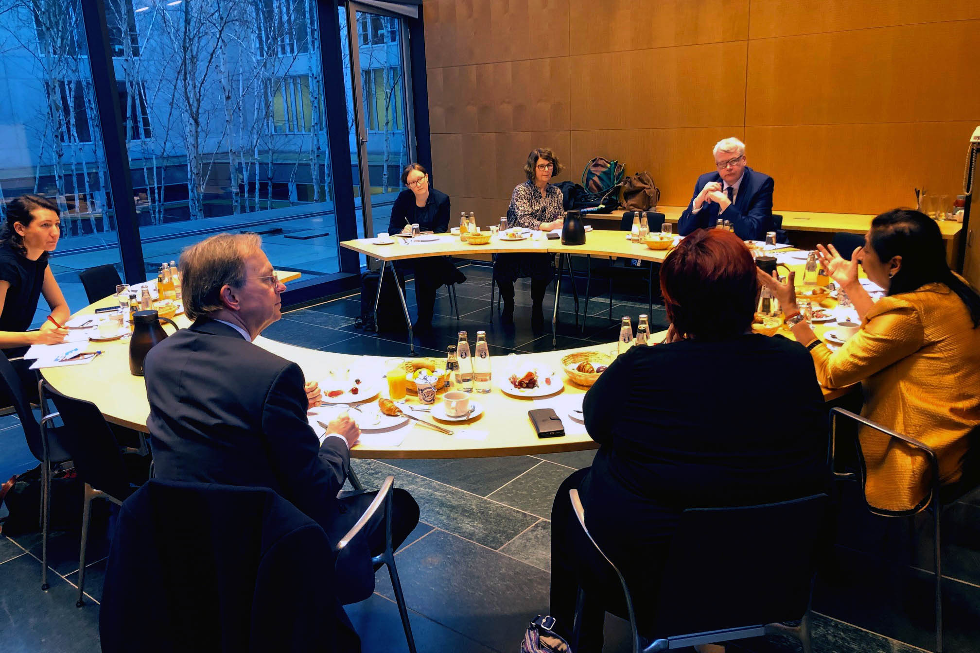 Deputy Executive Director Bhatia with Members of the Development Committee, German Parliament  Photo: UN Women