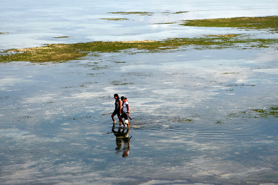 Une femme pêchant à Dili, au Timor-Leste. Photo : ONU/Martine Perret
