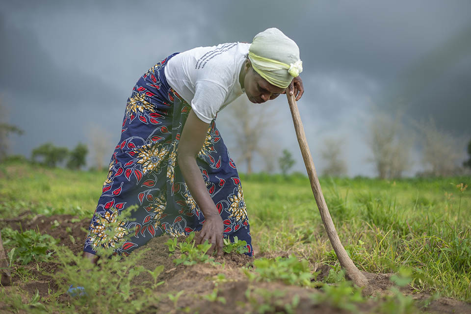 Grear Hara, a farmer from northern Malawi follows advice to plant groundnuts early. Photo: UN Women/Bennie Khanyizira