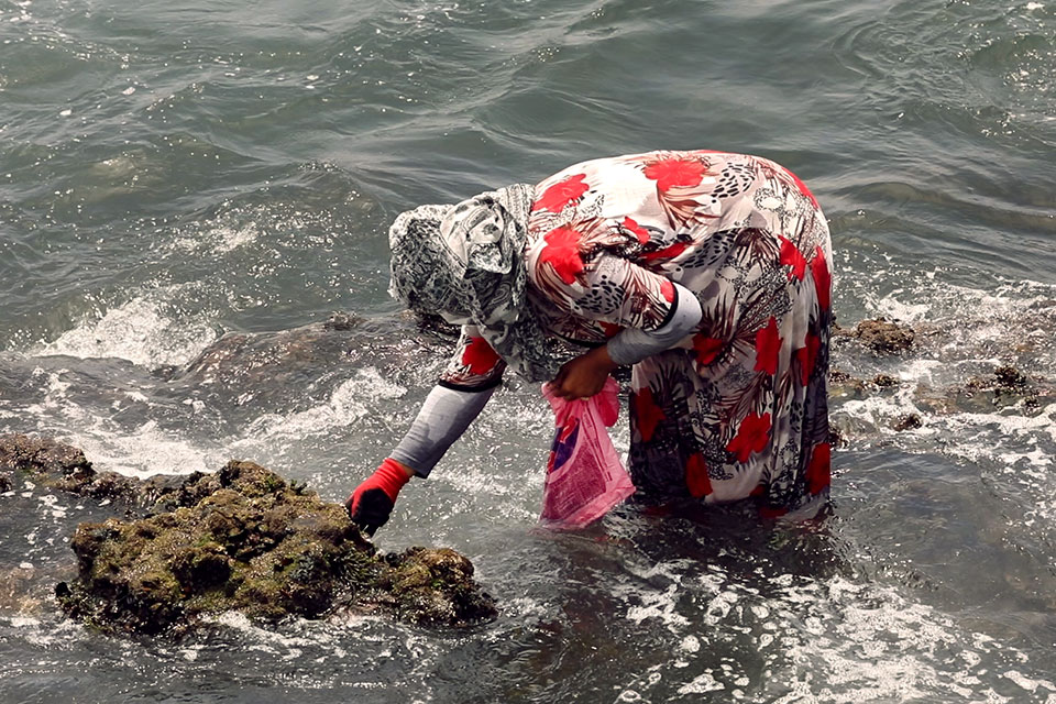 The knowledge of shellfish is often passed from generation to generation, meaning the fisherwomen today posess a body of historical and naturalist knowledge to assess their environment and identify its changes to optimize their work. Photo: UN Women/Mediating