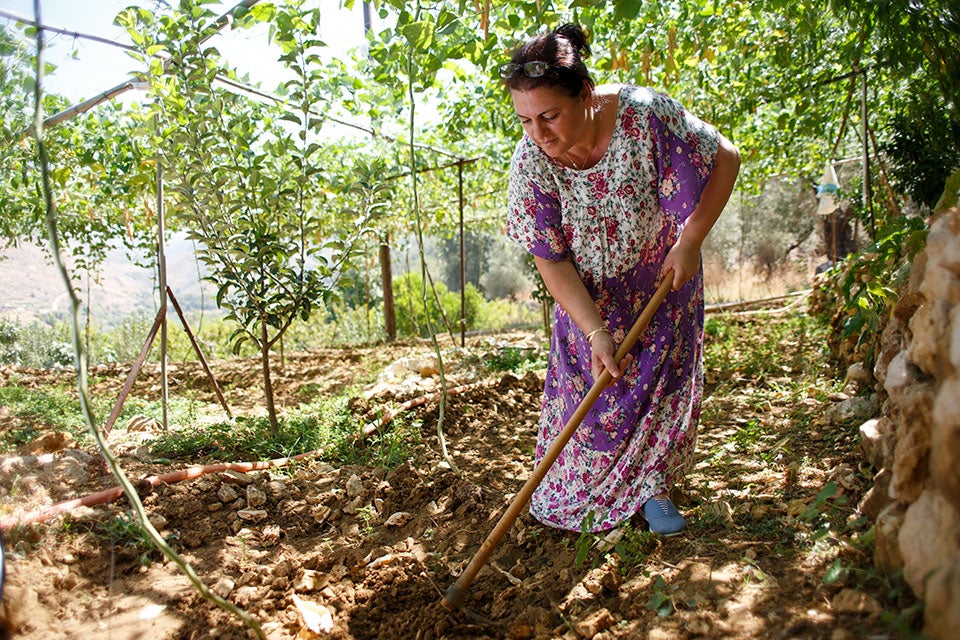 Rima Chaaban Massoud tends to crops on her family’s 80-year-old farm in Lebanon. Photo: UN Women/Joe Saad