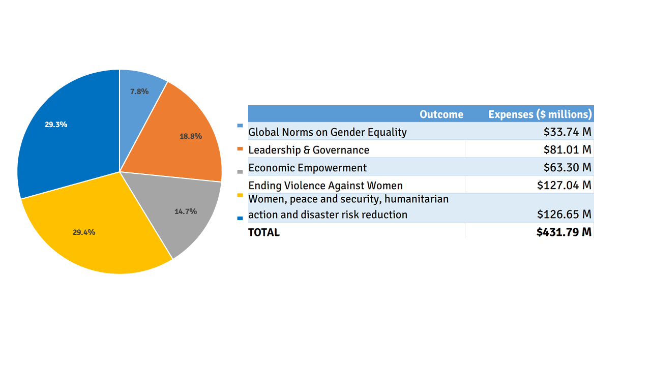 unwomen-contributions-v3