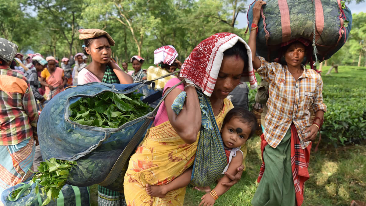 Women represent half of the workforce in the Assam tea estates, and many experience violence at home, while at work, and in public spaces. Photo: UN Women/Biju Boro.