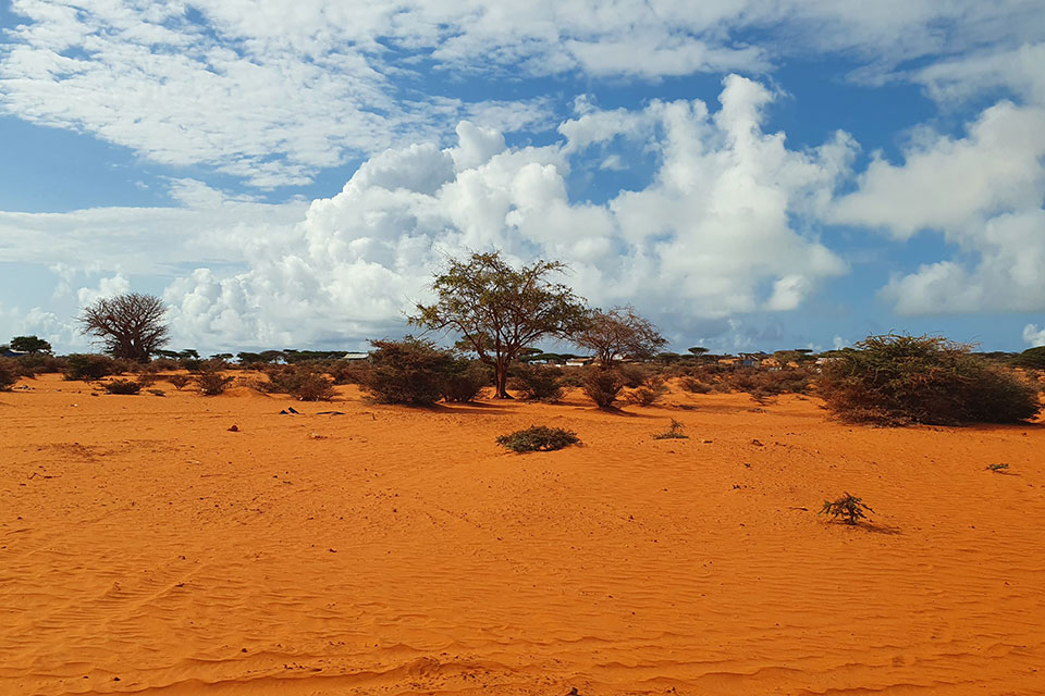 Somalia is experiencing a drought emergency as declared by the UN in Somalia in April 2022. Photo: UN Women/Aijamal Duishebaeva