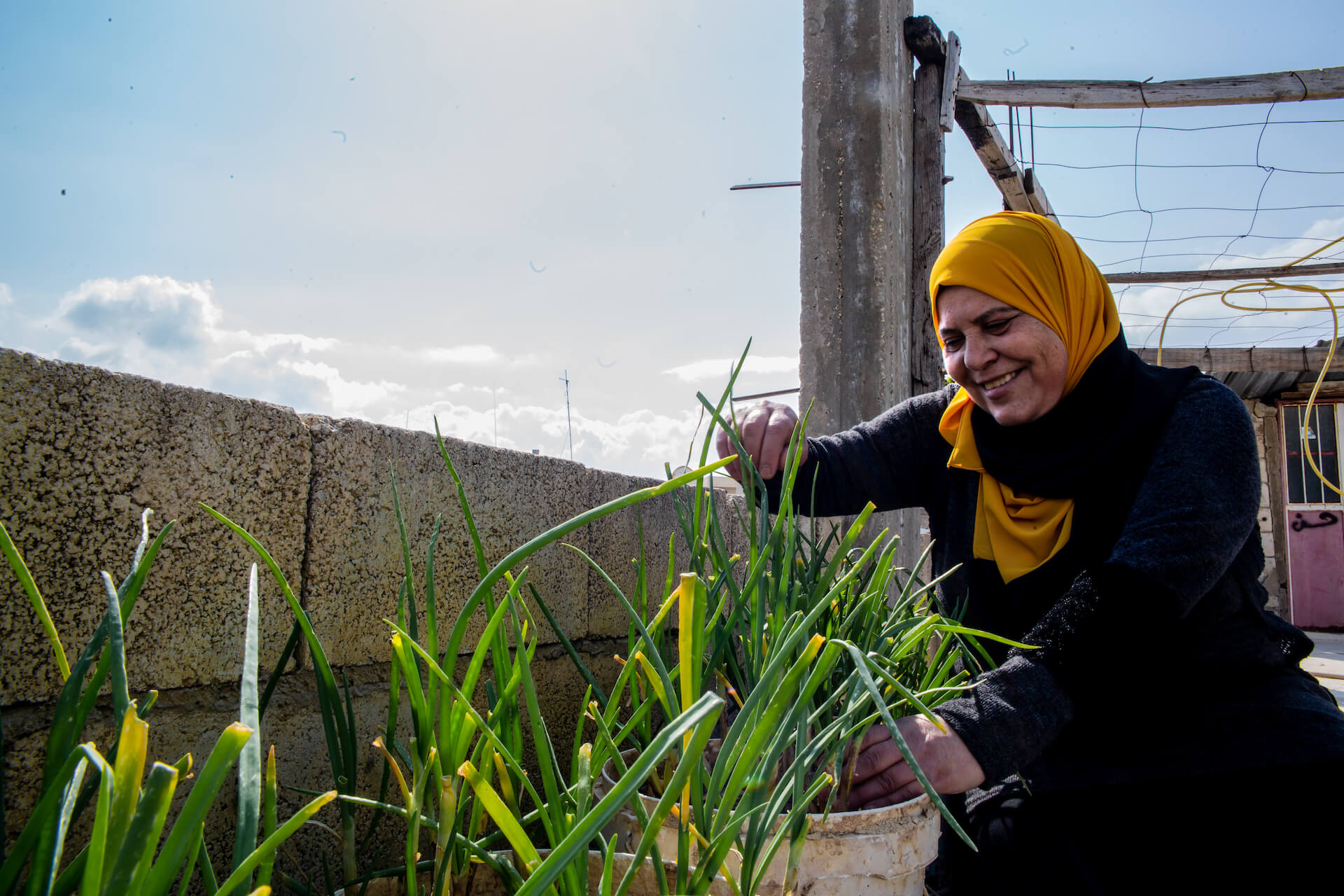 Aida Ghadban with her homegrown rooftop plants. Photo: UN Women/Lauren Rooney