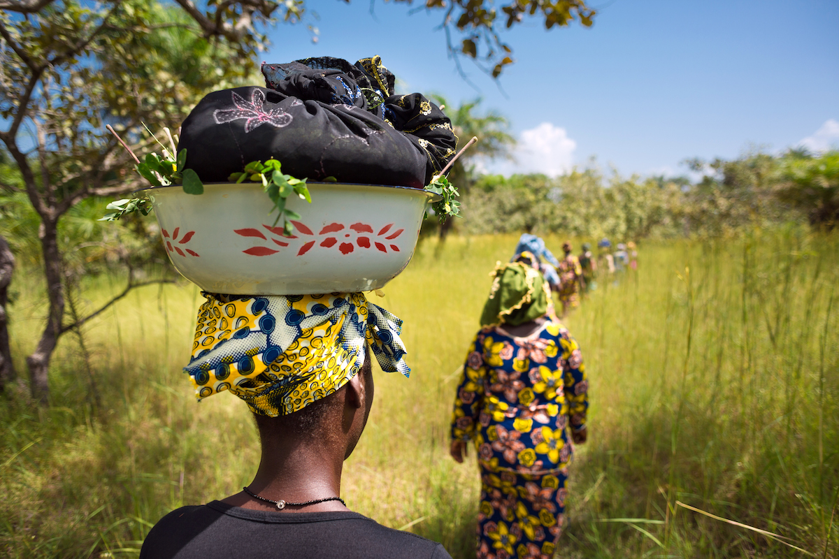 Des femmes des régions rurales en Guinée pratiquent une agriculture durable. Photo : ONU Femmes/Joe Saade
