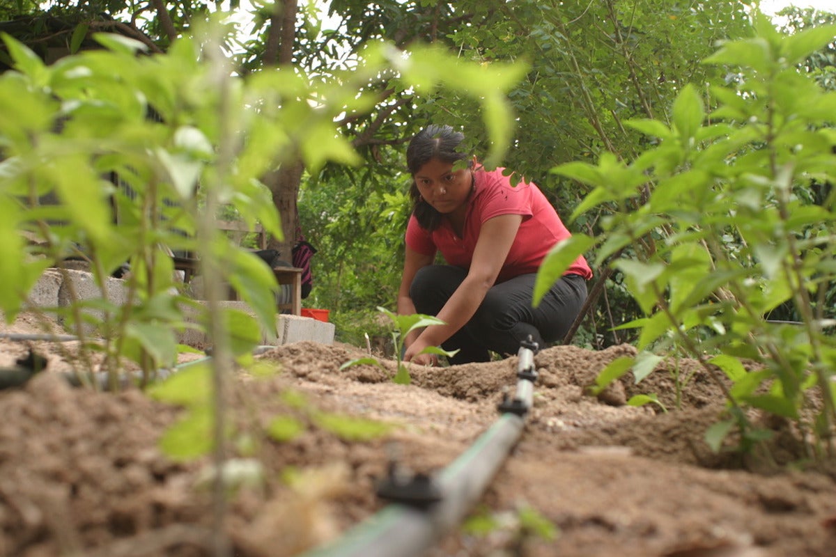 In Mexico, Espacio de Encuentro de las Culturas Originarias, A.C. (EECO) is partnering with World Wildlife Fund (WWF) Mexico under the RISE grants challenge to address the prevalence of gender-based violence in the Yucatán Peninsula and Oaxaca. Photo: EECO