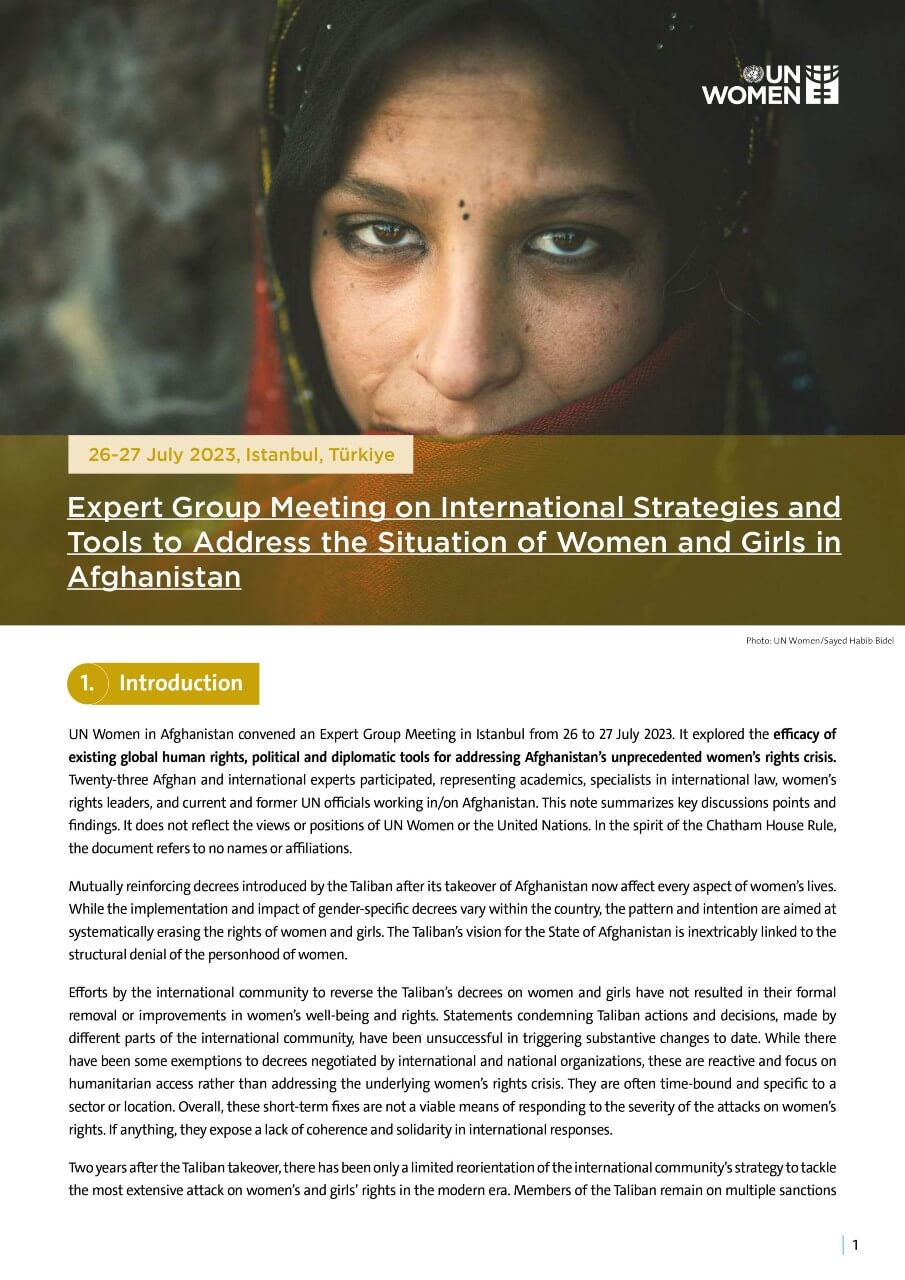 Expert Group Meeting on international strategies and tools to address the situation of women and girls in Afghanistan