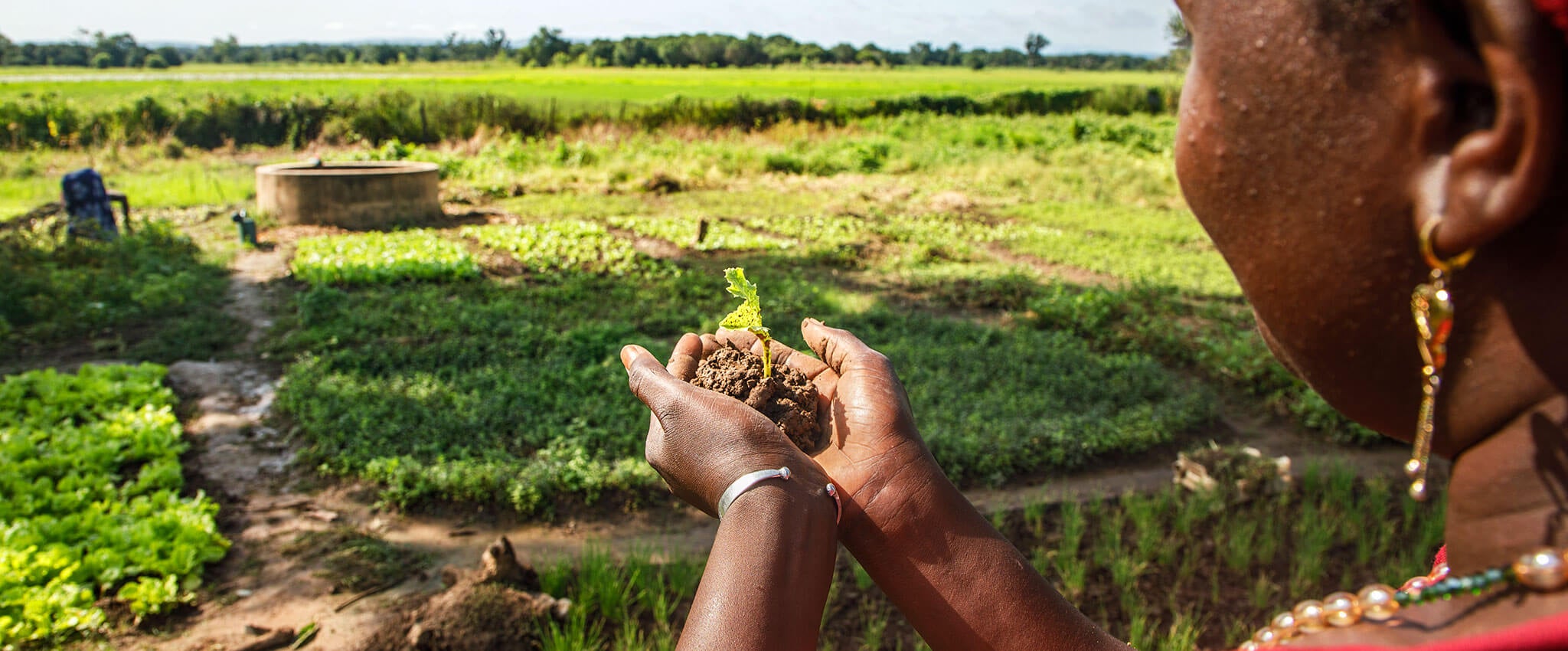 Women in the village of Fadiga, in the Kédougou region of Senegal, have worked for many years in agriculture. Photo: UN Women/Alioune Ndiaye.