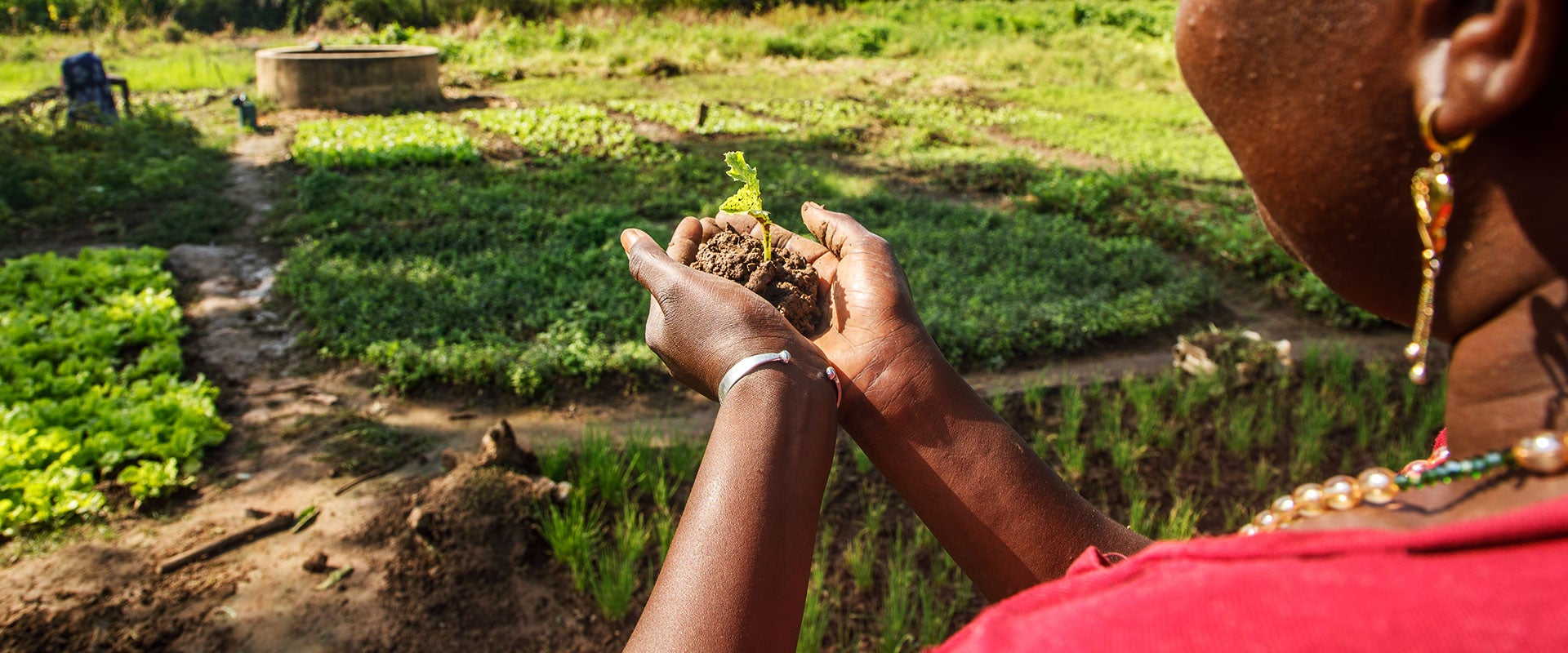 Women in the village of Fadiga, in the Kédougou region of Senegal, have worked for many years in agriculture.