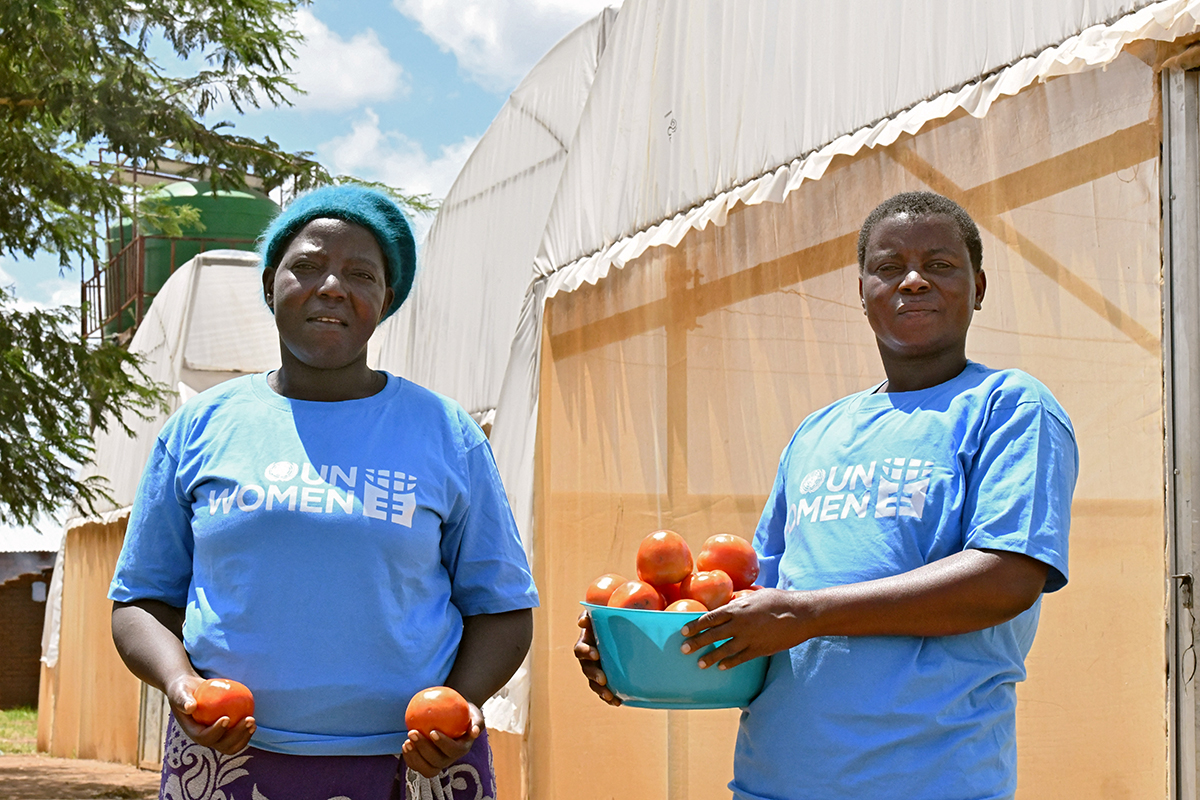  Ruth Kampatura (à gauche) et Prose Mgundamavu récoltent des tomates dans les serres Kambuku à Lilongwe au Malawi. 