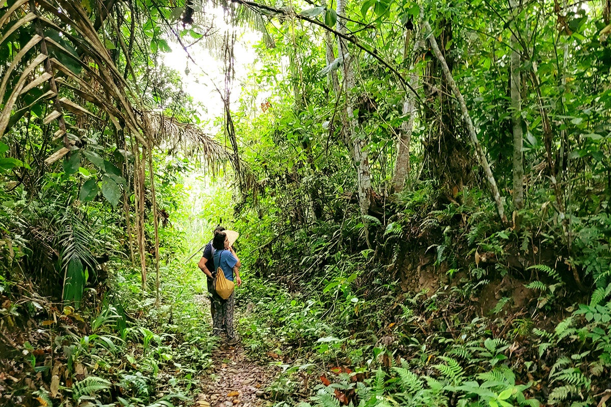 The forest of San Jose de Uchupiamona in Bolivia, where an indigenous community lives. Miriam Jemio recently covered a story about mercury contamination in the area due to mining activities. 