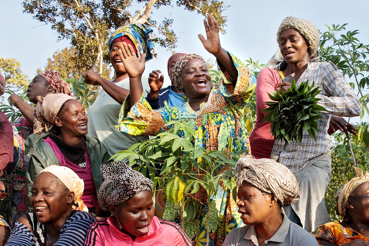 Una cooperativa de mujeres se está formando en el municipio de Yoko, Camerún. Se llama SOCCOMAD y cuenta con 42 miembros, incluidos cuatro hombres que se unieron como aliados. Los miembros de la cooperativa se ayudan mutuamente en una variedad de asuntos: desde trabajar en las cosechas si alguien está enfermo, hasta mediar en disputas familiares entre parejas y ayudarse mutuamente a ahorrar.