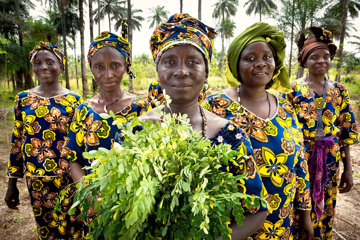 In the Katfoura village on the Tristao Islands in Guinea, the civil society organization Partenariat Recherches Environnement Medias is providing rural women with new opportunities to generate income and improve community life.