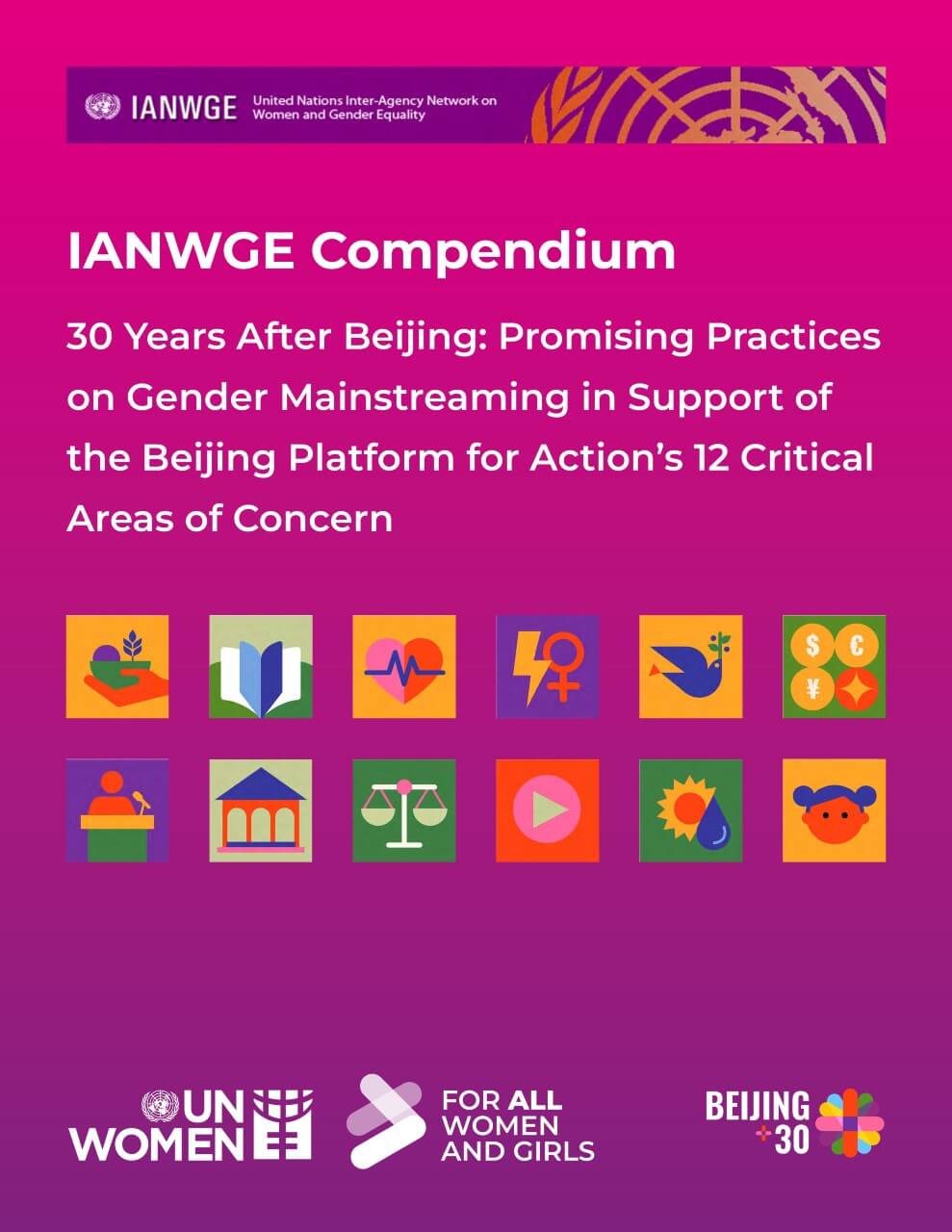 IANWGE compendium – 30 years after Beijing: Promising practices on gender mainstreaming in support of the Beijing Platform for Action’s 12 critical areas of concern