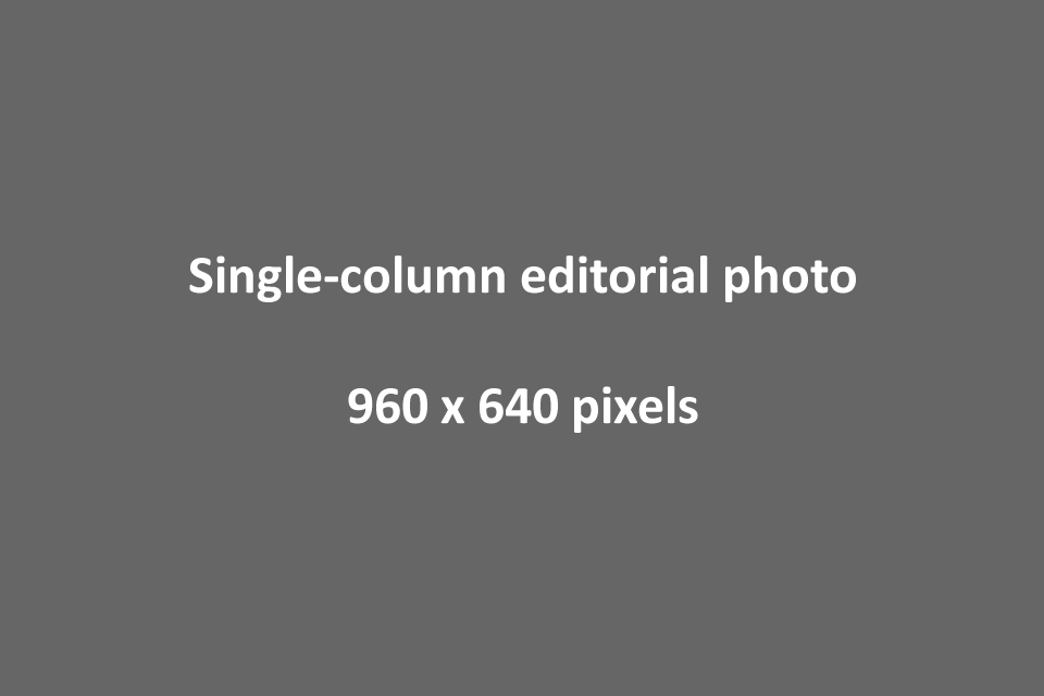 Single column editorial image, 960 x 640 pixels