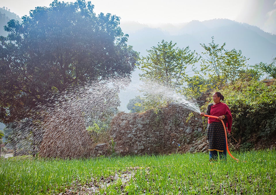 Tamang has loved farming since childhood. And recent training provided by UN Women has made it more profitable as well. This photo was taken in Roshi village in December 2018. Photo: UN Women/Merit Maharjan