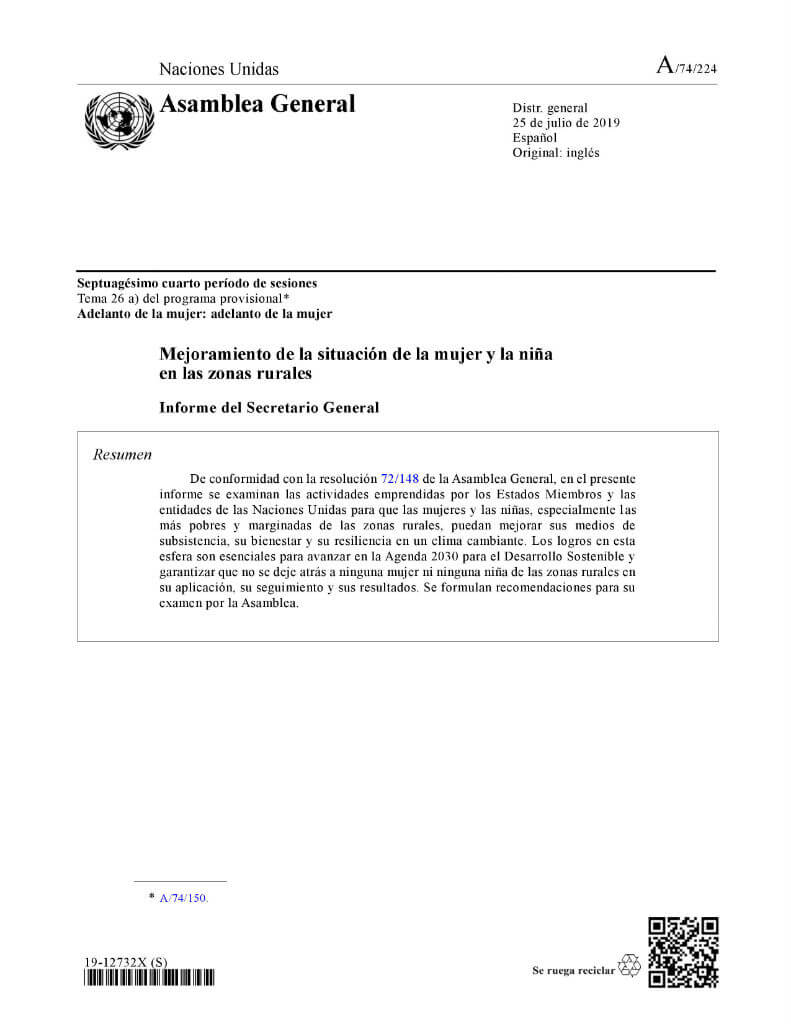 Mejoramiento de la situación de la mujer y la niña en las zonas rurales: Informe del Secretario General (2019)