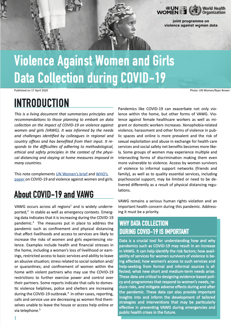 Violence against women and girls data collection during COVID-19