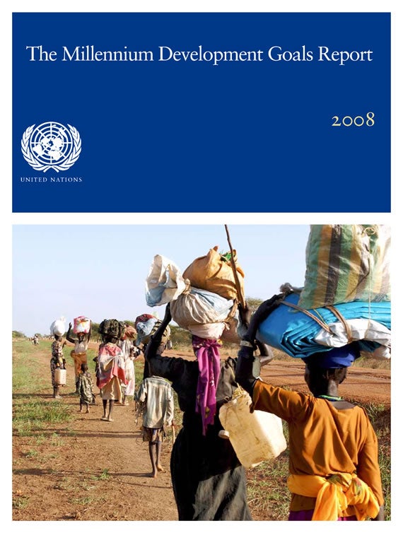 2008-DESA-mdg-report-en.jpg