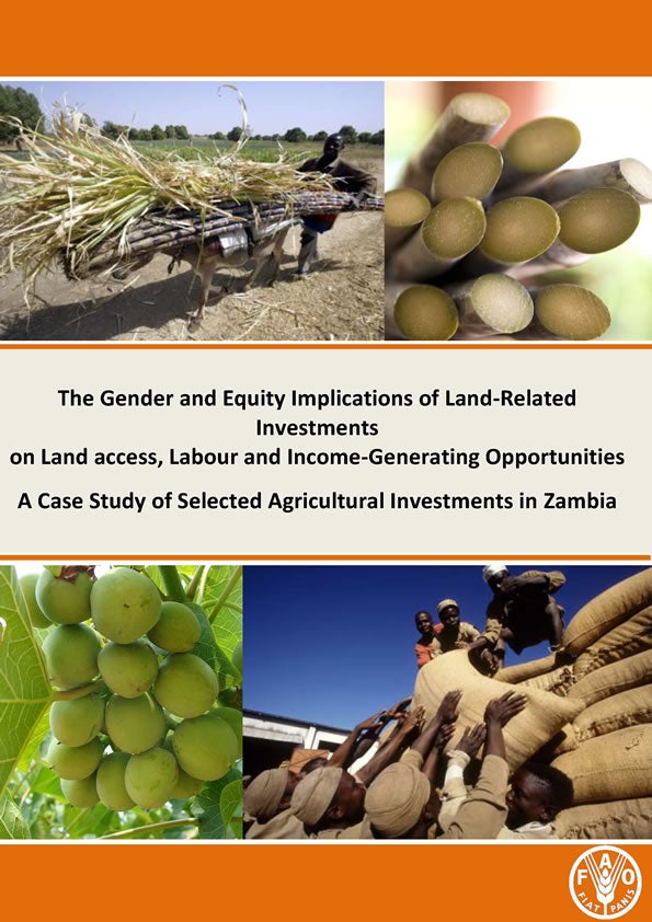 2013-FAO-gender-equity-implications-zambia-en.jpg