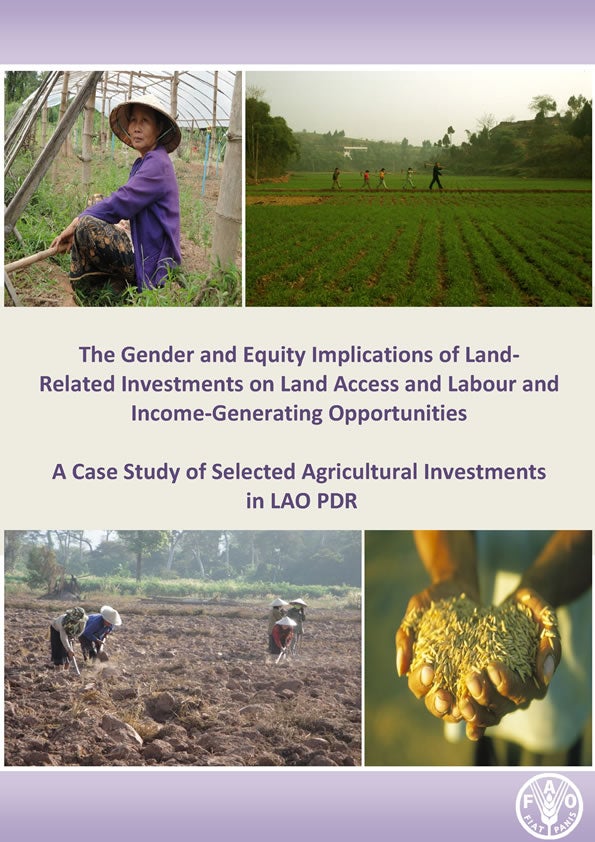 2013-gender-equity-implications-LaoPDR-en.jpg