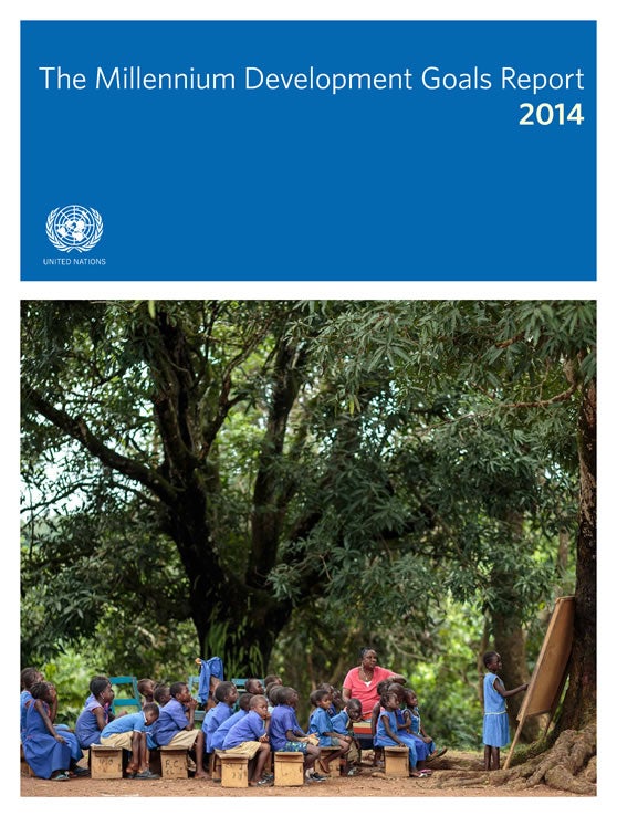 2014-DESA-MDG-report-en.jpg