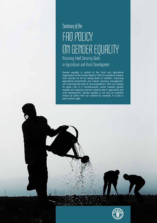 2014-FAO-summary-FAO-policy-gender-equality-en.jpg