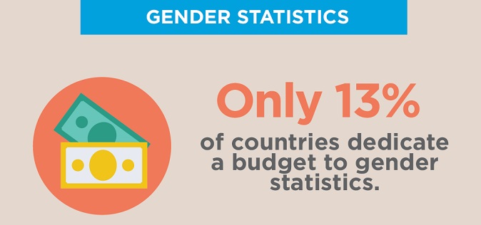 Only 13% of countries dedicate a budget to gender statistics