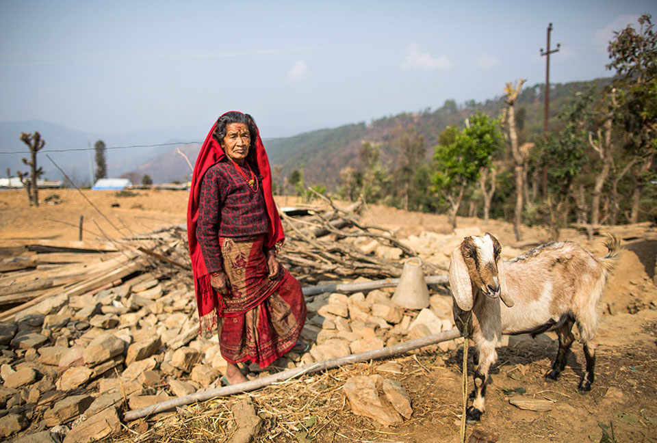 Bishnu Maya Dangal and her husband raise and sell goats.  Photo: UN Women/N. Shrestha