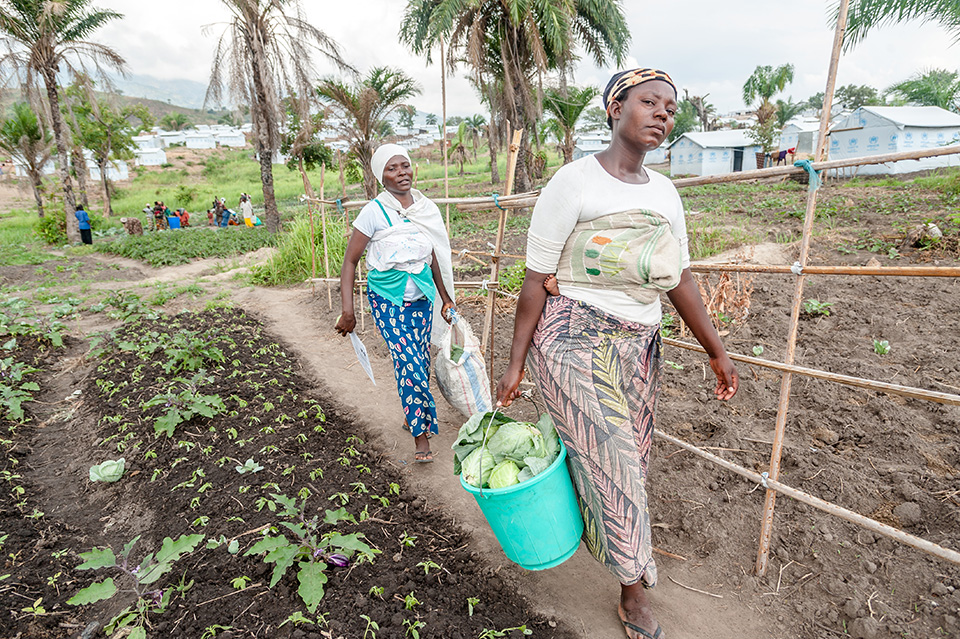 With UN Women’s assistance, in 2015, 264 women refugees contributed to the camp’s food security after being trained to grow vegetables.  Photo: UN Women/Catianne Tijerina