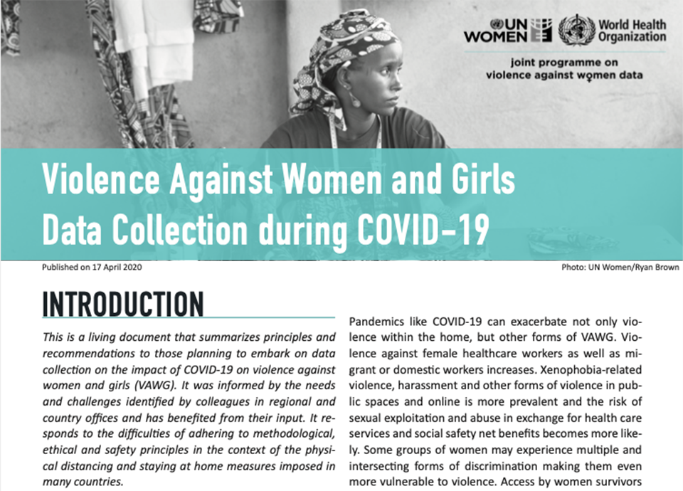 Violence against women and girls data collection during COVID-19