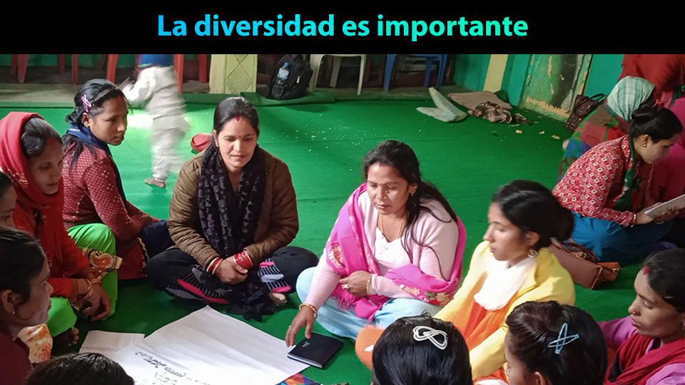 La diversidad es importante