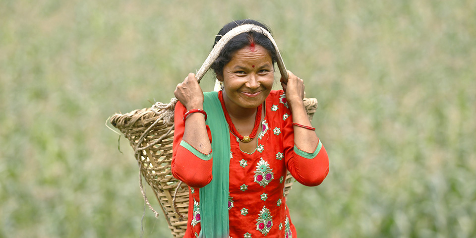 Chandra Kala Thapa, one of many smallholder women farmers from Ranichuri village in Sindhuli district, was barely able to produce enough grains to feed her family. With support from the Joint Programme, she converted her field from grain production to high-value vegetables. “Now the prices are good and the money comes on time. This was not the case when I used to cultivate grains instead of high-value vegetables,” she says.   Photo: UN Women/Narendra Shrestha