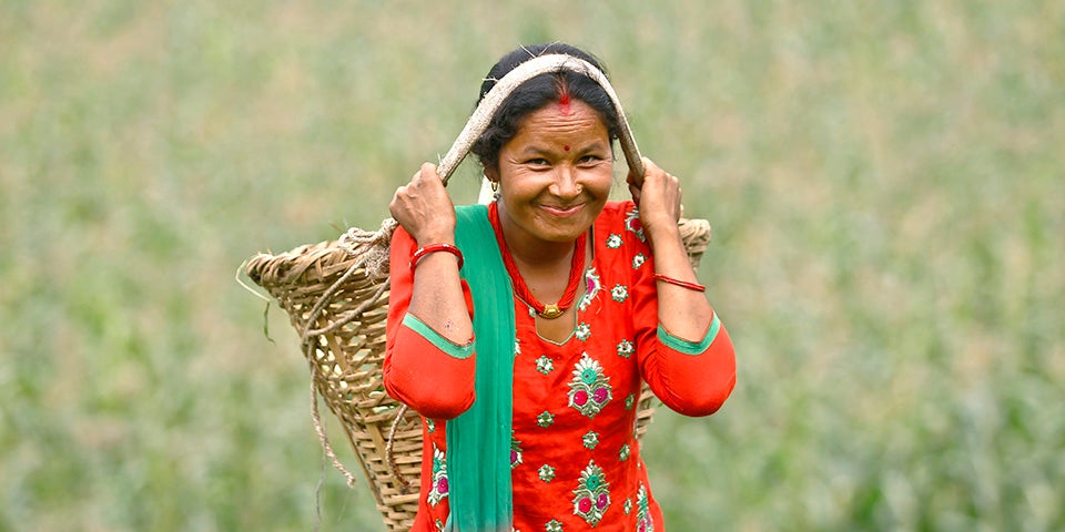Chandra Kala Thapa, one of many smallholder women farmers from Ranichuri village in Sindhuli district, was barely able to produce enough grains to feed her family. With support from the Joint Programme, she converted her field from grain production to high-value vegetables. “Now the prices are good and the money comes on time. This was not the case when I used to cultivate grains instead of high-value vegetables,” she says. Photo: UN Women/Narendra Shrestha