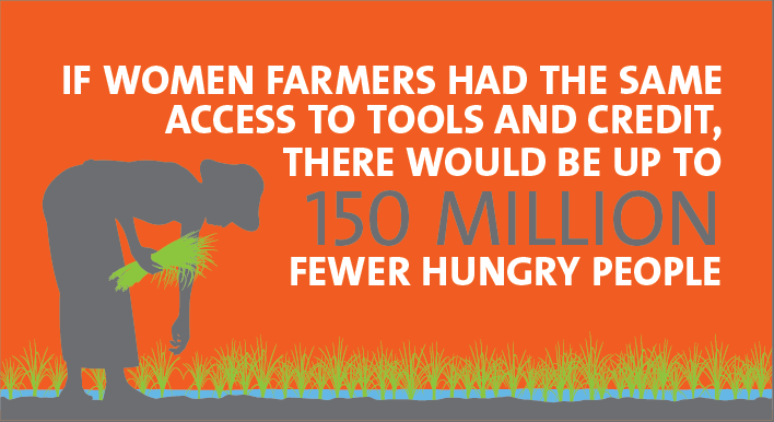Infographic on women farmers' access to tools and credit