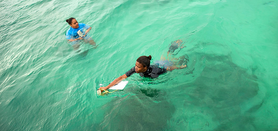 Women lead conservation in Seychelles. Photo: UN Women/Ryan Brown