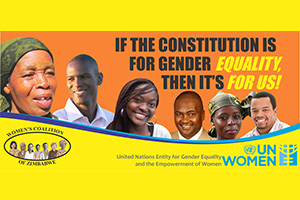 The women’s movement in Zimbabwe mobilized women and men to vote yes for a new Constitution.