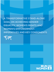 A Transformative Stand-Alone Goal on Achieving Gender Equality, Women's Rights and Women's Empowerment: Imperatives and Key Components