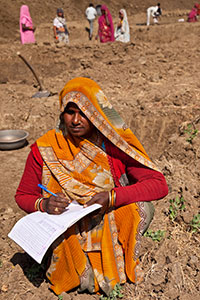 Hari Bai, a 35-year-old member of the Scheduled Caste community and first-time “mate” at MNREGA, supervises work at Village Satavasa in Lalitpur, Uttar Pradesh. Photo: UN Women/Gaganjit Singh Chandok