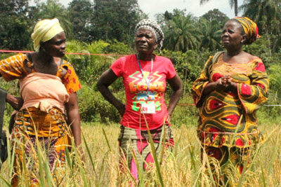 Liberia women traders