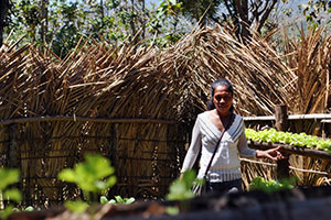 Rosalina Moniz in her self-help group’s garden, one of the few places in the region for certain varieties of vegetables. Photo: UN Women/Aisling Walsh